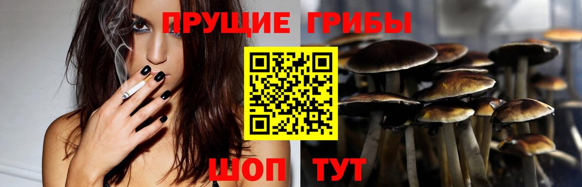 Псилоцибиновые грибы Cubensis  купить   Вход с VPN  Мурманск  Псилоцибиновые грибы ЛСД 